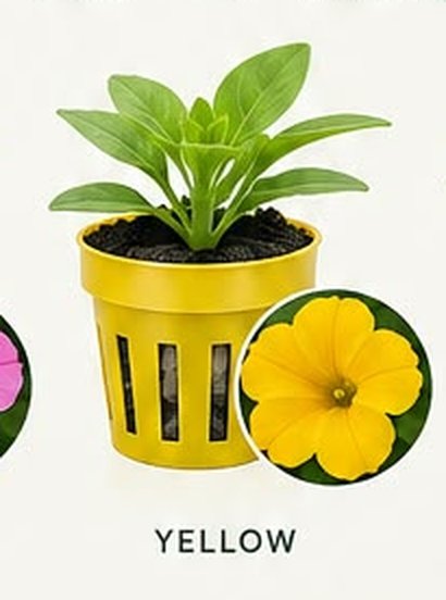 Yellow colour-coded net pot, corresponding to a yellow bloom